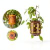 Christmas Gifts for Women Sea Turtle Solar Lanterns Outdoor Waterproof,Hanging Solar Lights Sea Turtle Gifts for Women Men Metal LED Decorative Light for Yard,Patio,Lawn,Pathway,Landscape,Garden Decor-3